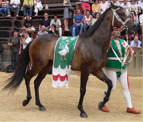 Elisir di Logudoro