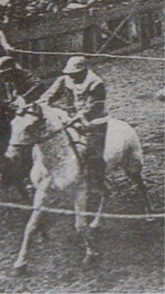 GRIGIO DI GIUSEPPE MARZOCCHI