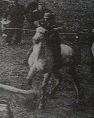 GRIGIO DI ORESTE FONTANI