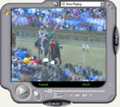 Palio dell'Assunta 2001 - Formato Windows Media Player