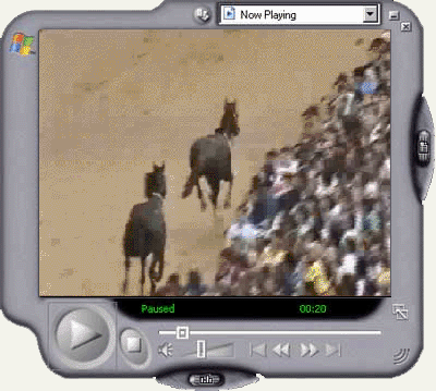 Palio di Provenzano 1989 - Formato Windows Media Player