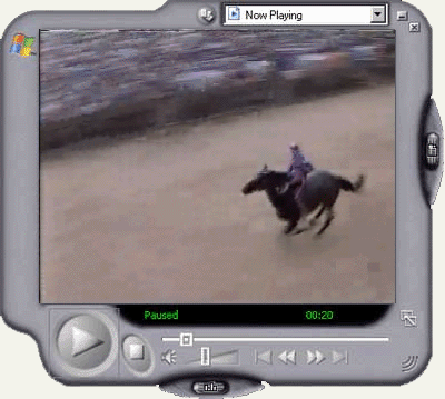 Palio di Provenzano 1994 - Formato Windows Media Player