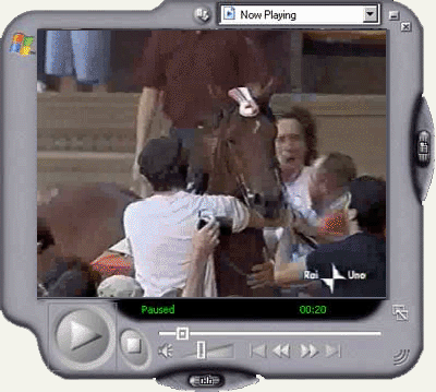 Palio di Provenzano 2001 - Formato Windows Media Player