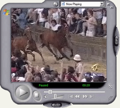Palio di Provenzano 2004 - Formato Windows Media Player
