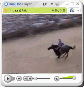 Palio di Provenzano 1994 - Formato Real Media Player