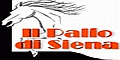 Palio di Siena: Statistiche, curiosit� e notizie