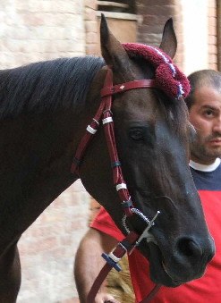 Berio