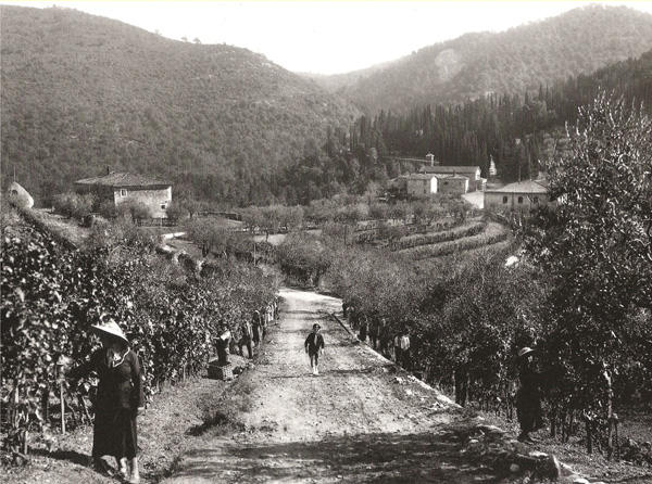 S.Regolo