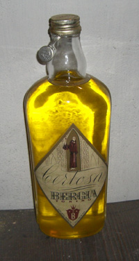 Bergia (Torino) - Certosa