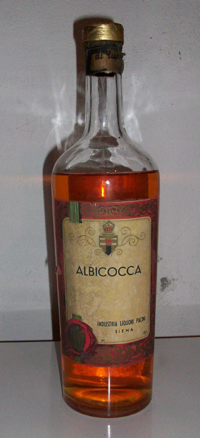 Pacini (Siena) - Albicocca