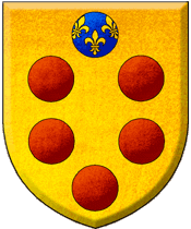 Medici Shield