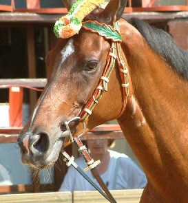 Alesandra