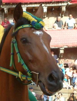 Amoroso