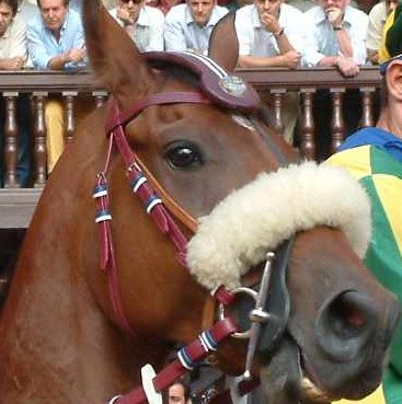 Artù Valoroso