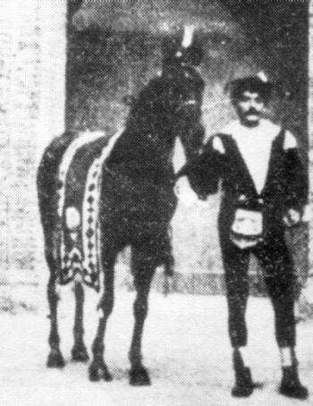 Baio di Pietro Stasi