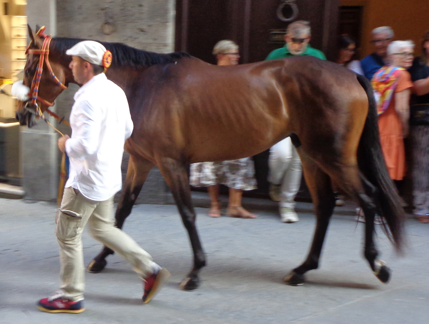 Comancio
