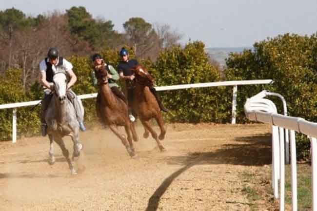 Corse di addestramento dei cavalli del Palio di Siena a Mociano