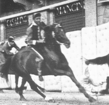 Mariolo