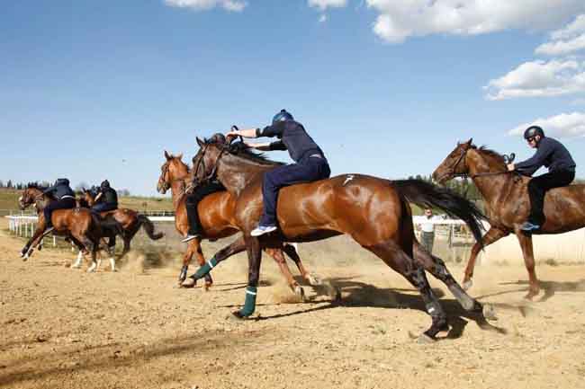 Corse di addestramento dei cavalli da Palio a Monticiano il 24 maggio