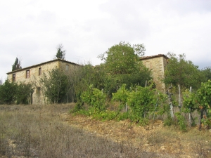 Castagnoli_12