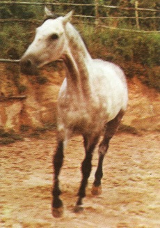 Quebel