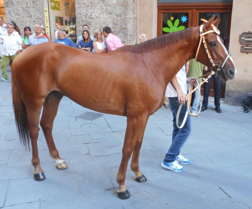 REMISTIRIO