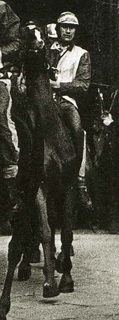 Stella