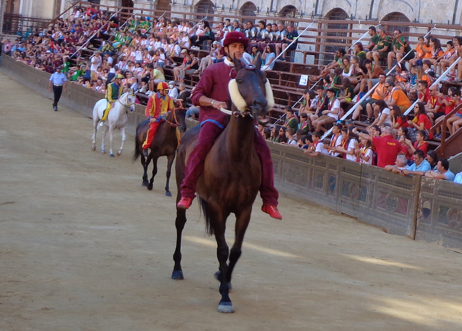 Viso d'Angelo
