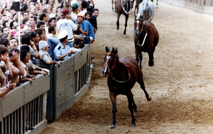 Il video del Palio del 16 agosto 1993