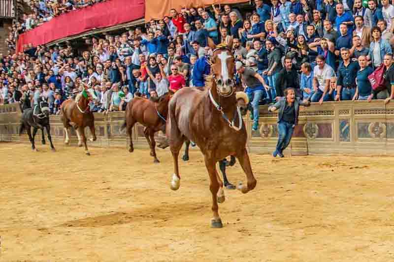 Il video del Palio del 20 ottobre 2018