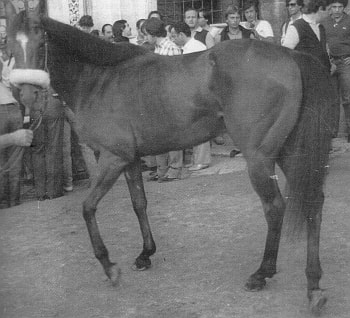 Bambola de Ploaghe