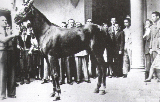 Cesare