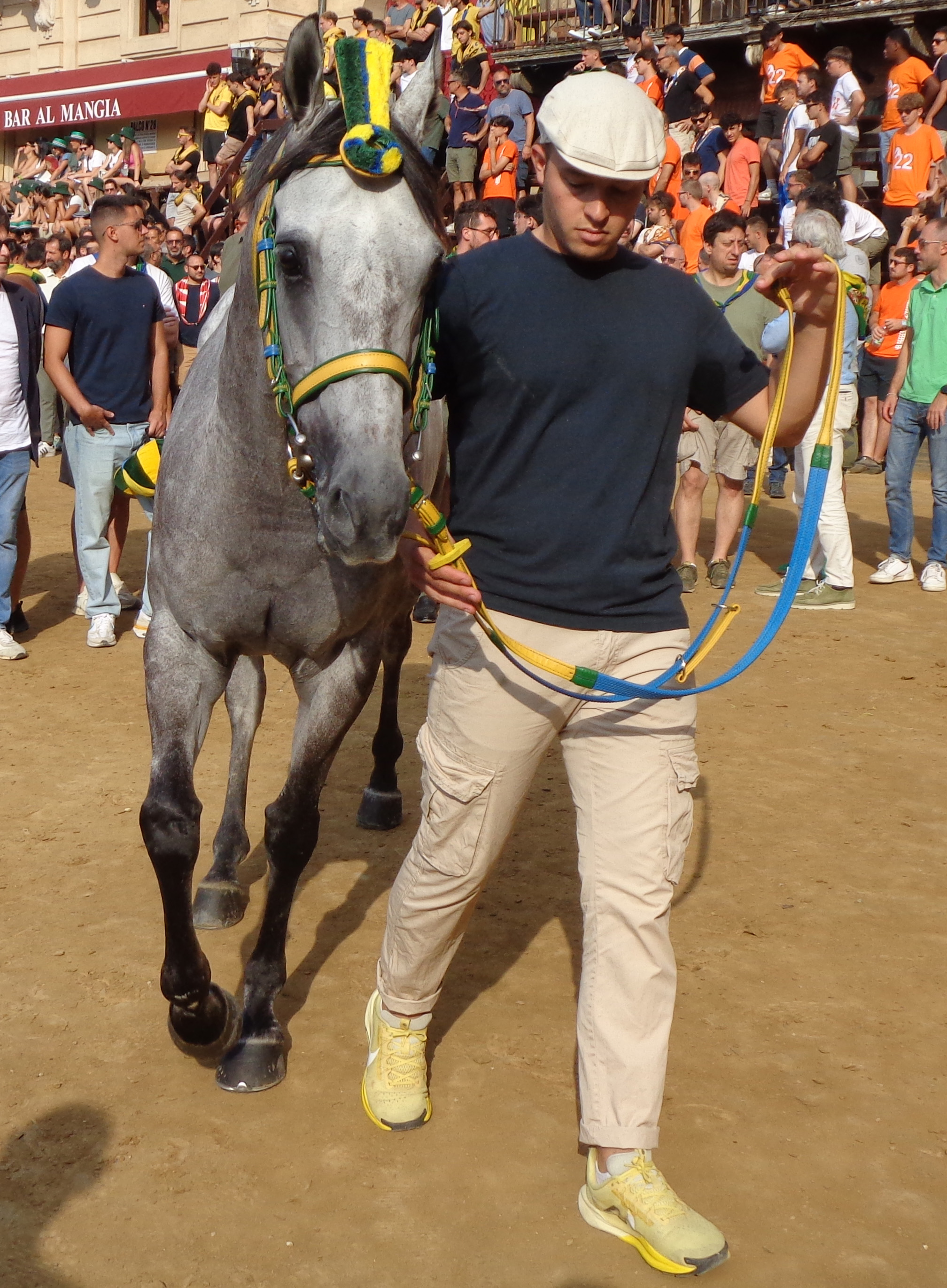 Diamante Grigio