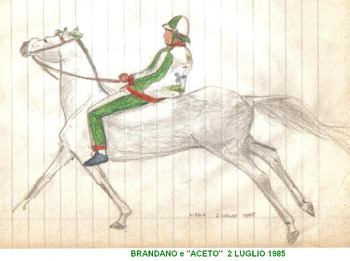 Brandano