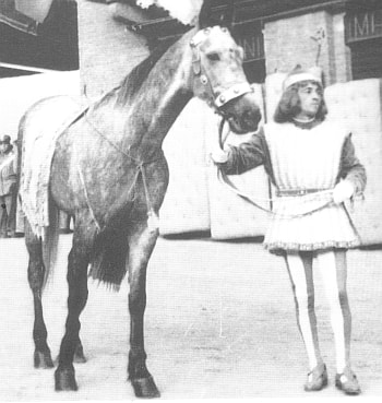 Dorico
