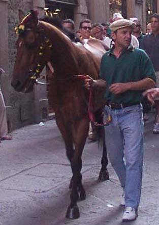 Ernesto Bello