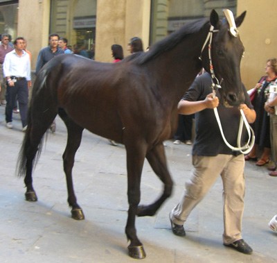 Estremo Oriente
