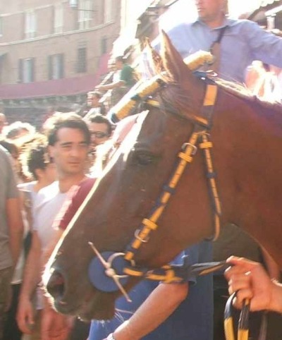 E.T. di Gallura