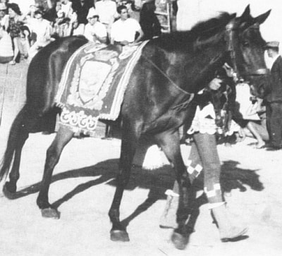 Farfalla