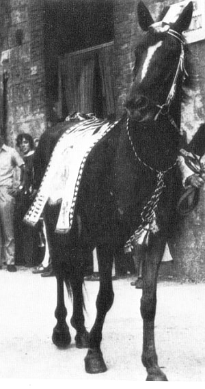Ferida