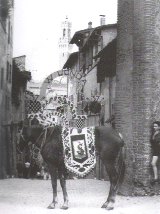 Gioia