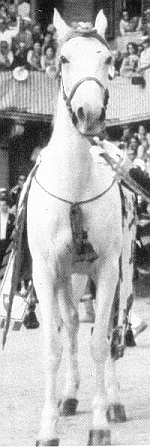 Gisella