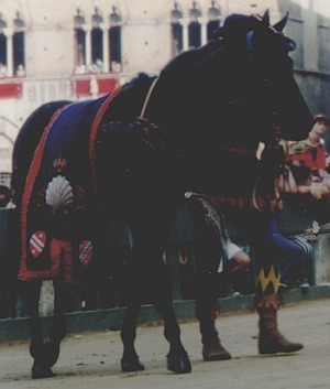 Gloria Rustica