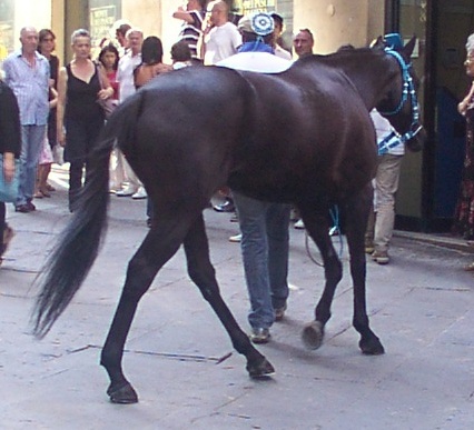 Guadalupe