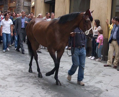 Iesael