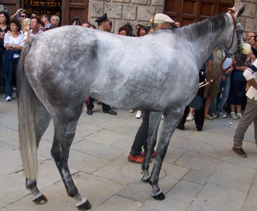 Indianos