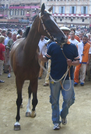 Lampante