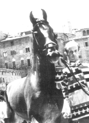 Marco POlo