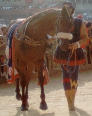 Nordico