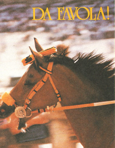 NUMERO UNICO